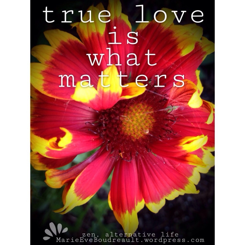 what is true love how can you know for sure happiness book marie Eve Boudreault blog alternative zen life