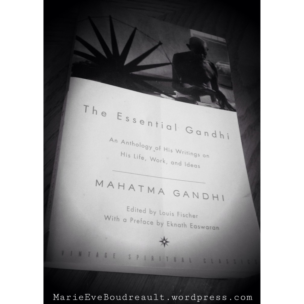The essential Gandhi top books 2014