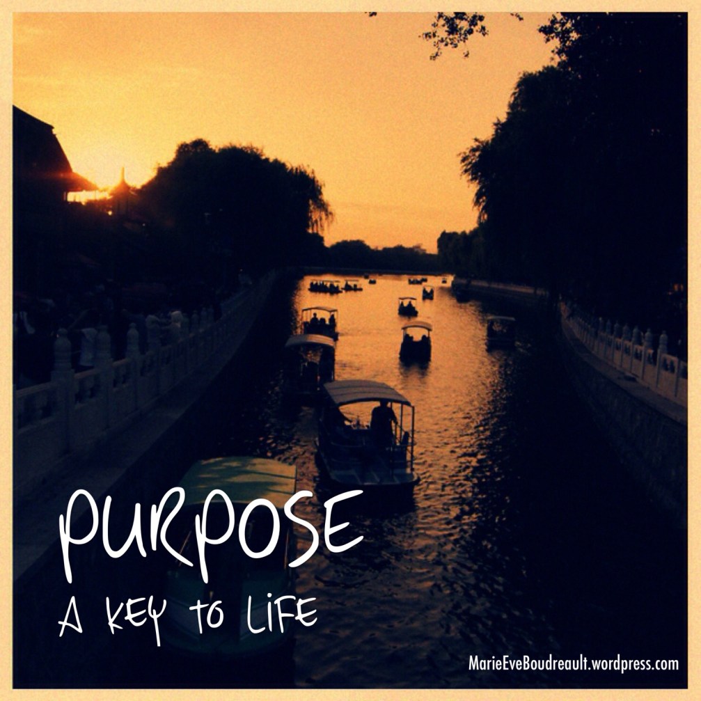 Habits to live the life we love purpose quote image marie-Eve Boudreault blog